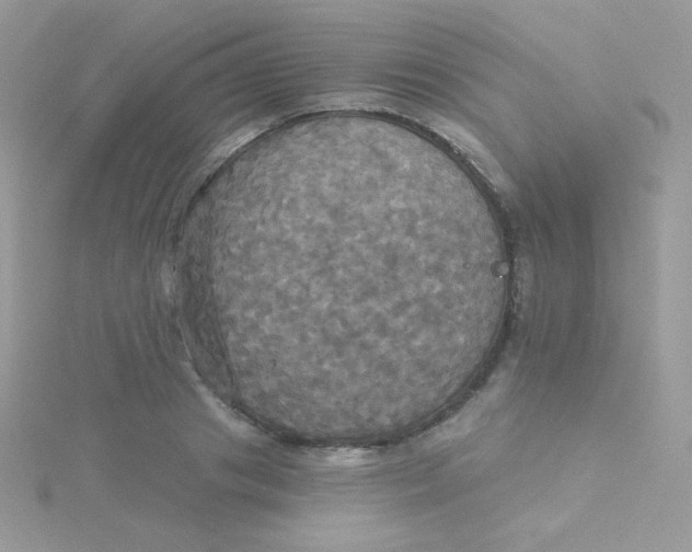 X0000115330841200911231410