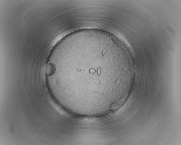 X0000115330842200911231410