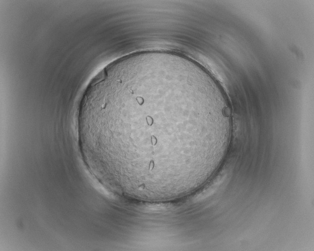 X0000115330843200911231410