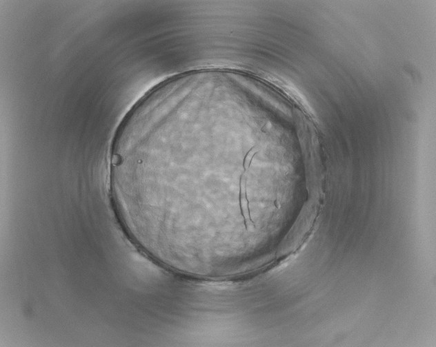 X0000115330844200911231410