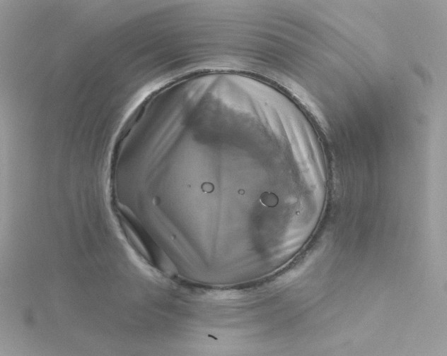 X0000115330845200911231410