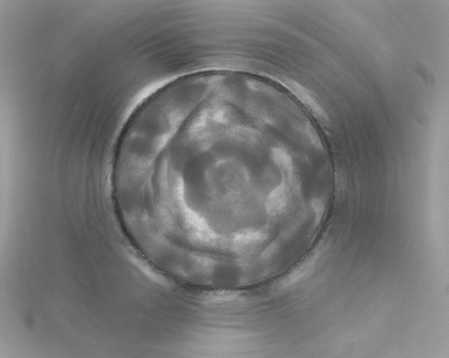 X0000115330846200911231410