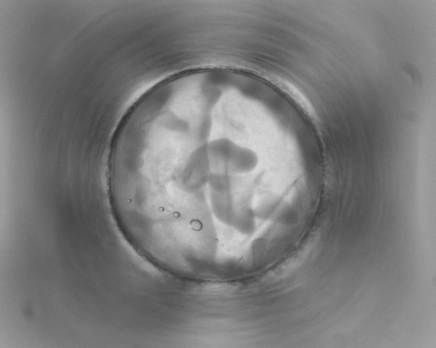 X0000115330847200911231410