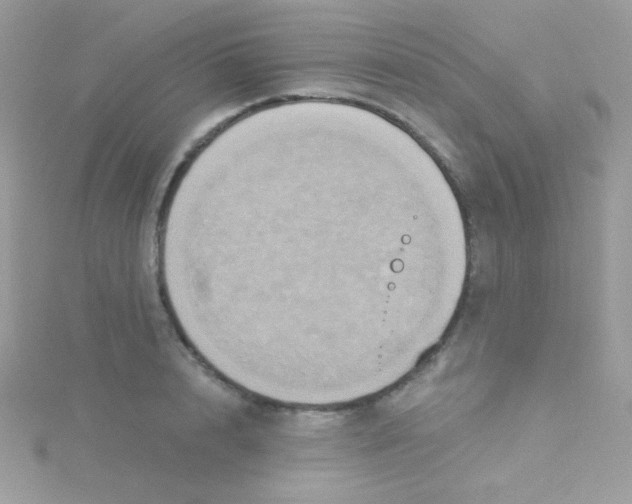 X0000115330848200911231410