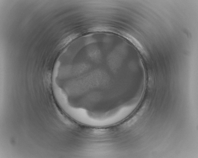 X0000115330849200911231410