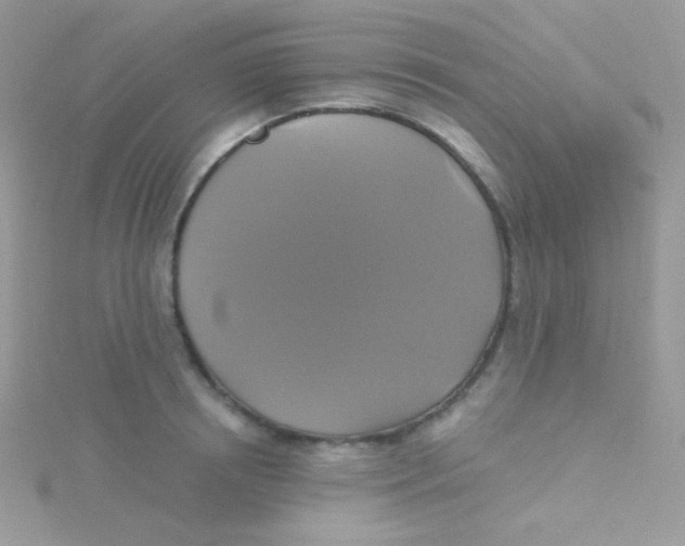 X0000115330850200911231410