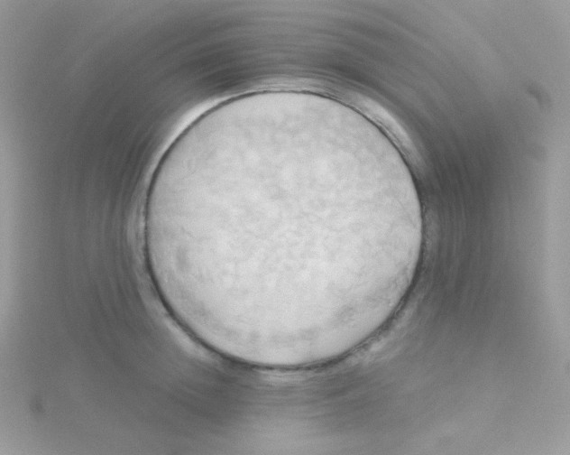 X0000115330852200911231410