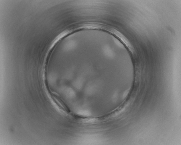 X0000115330853200911231410