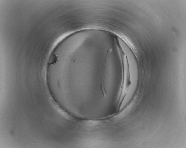 X0000115330854200911231410