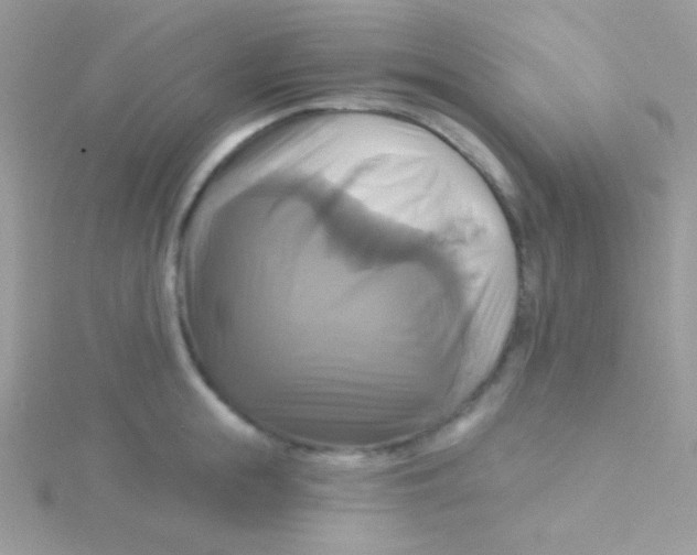 X0000115330855200911231410