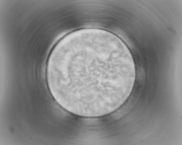 X0000115330856200911231410