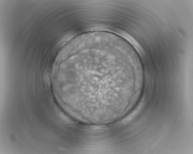 X0000115330857200911231410