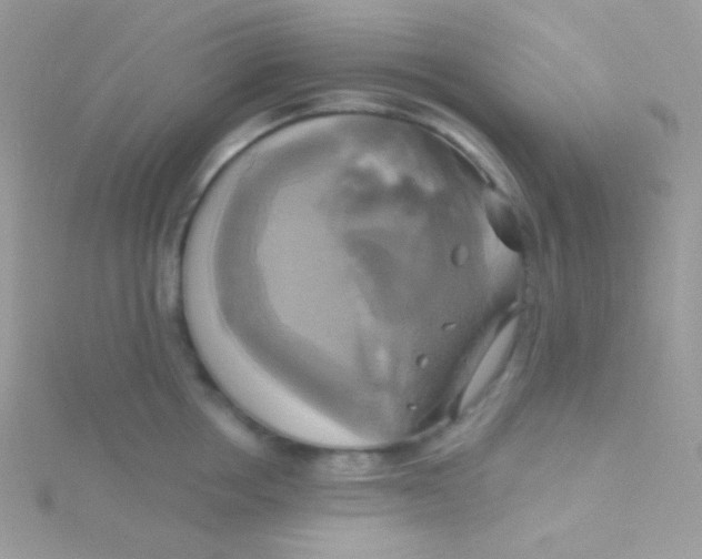 X0000115330858200911231410