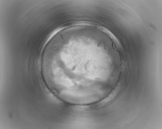 X0000115330860200911231410