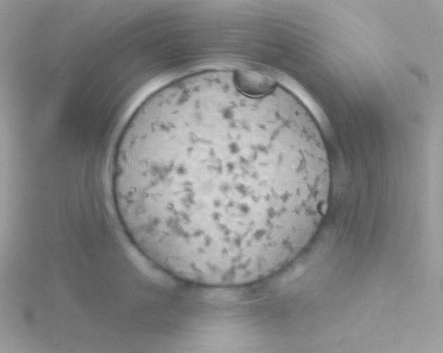 X0000115330861200911231410