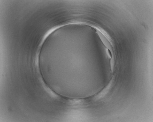 X0000115330862200911231410