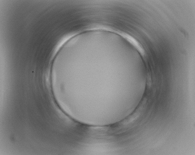 X0000115330863200911231410