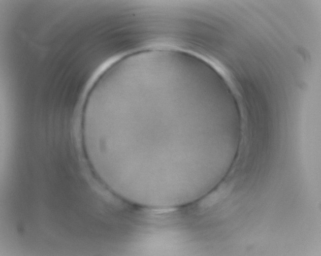 X0000115330864200911231410