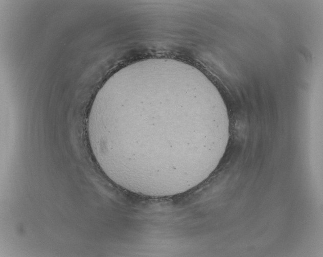 X0000115330865200911231410