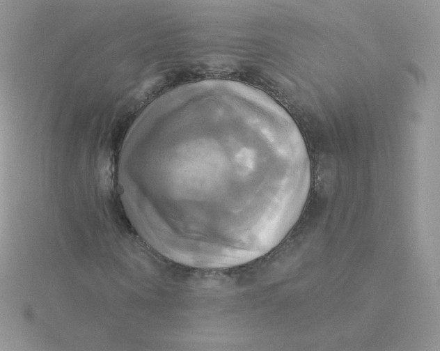 X0000115330866200911231410