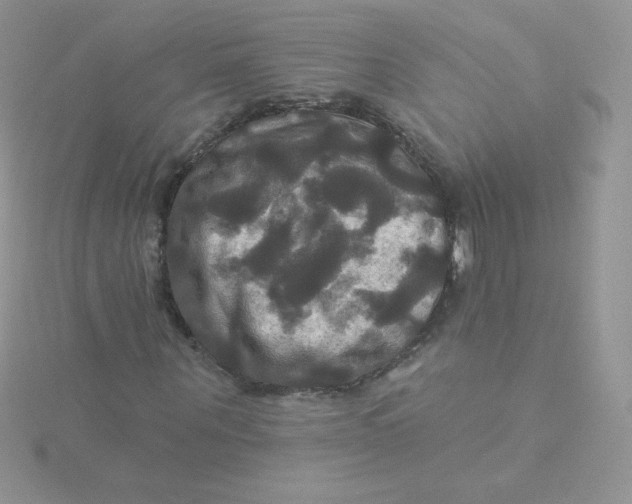 X0000115330867200911231410