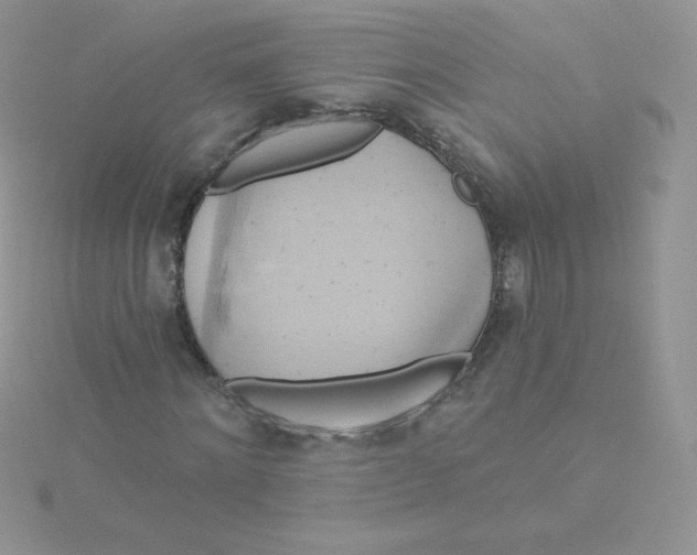 X0000115330868200911231410