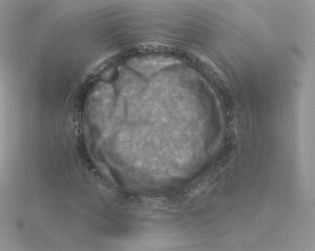 X0000115330870200911231410