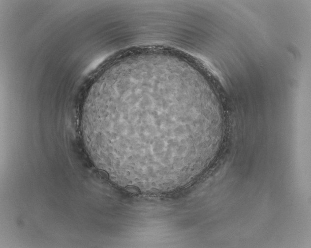 X0000115330871200911231410