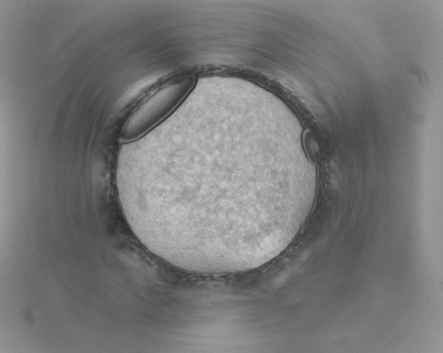 X0000115330872200911231410