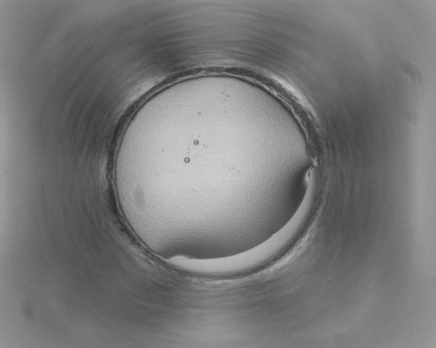 X0000115330873200911231410