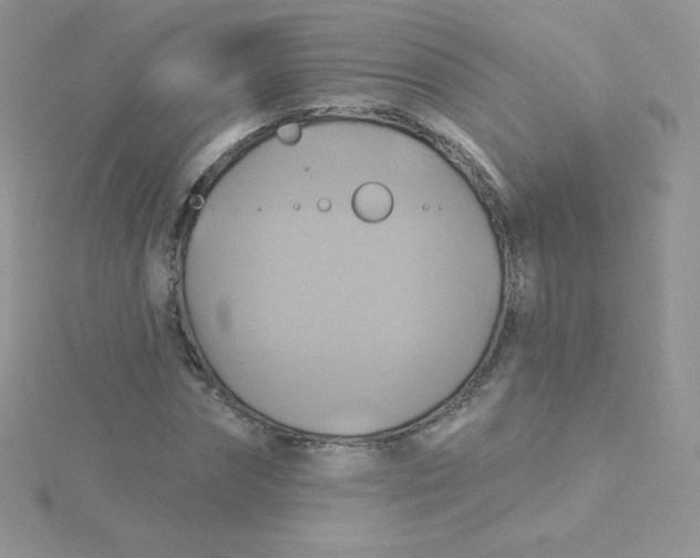 X0000115330874200911231410