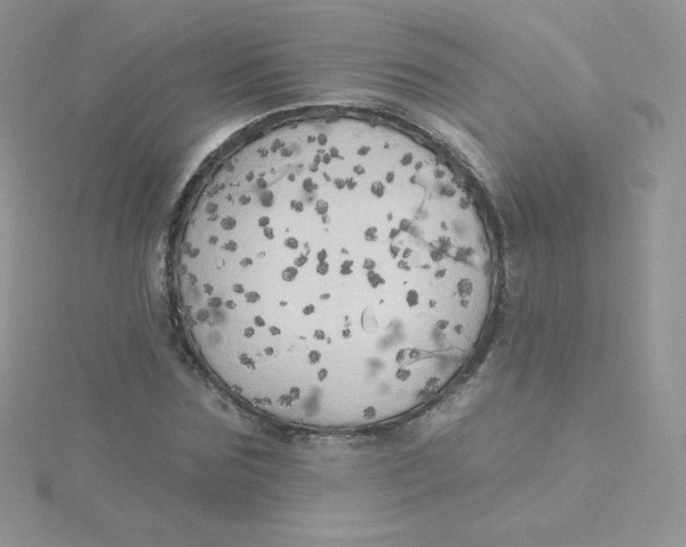 X0000115330875200911231410