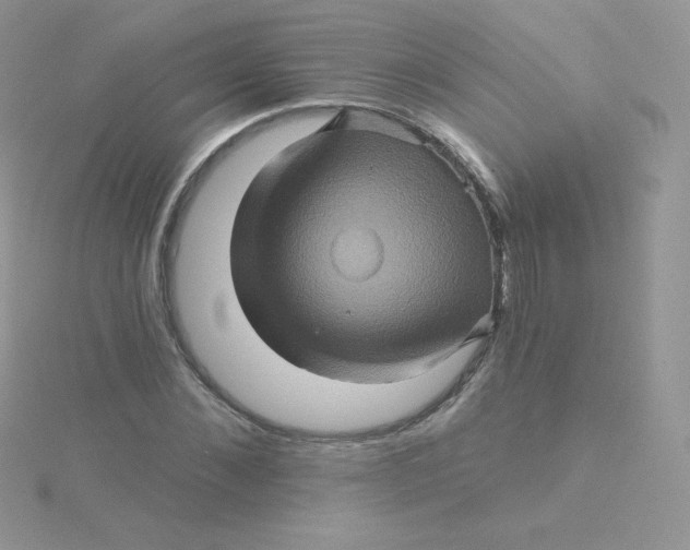 X0000115330876200911231410