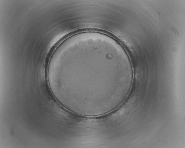 X0000115330877200911231410