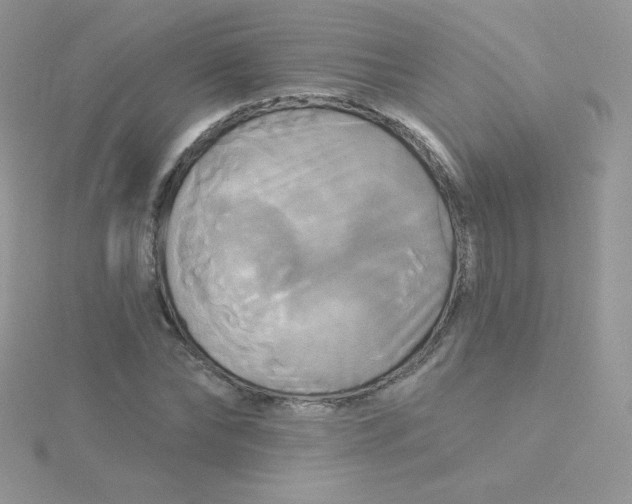 X0000115330878200911231410