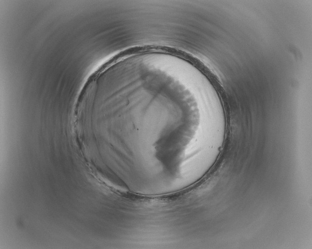 X0000115330879200911231409