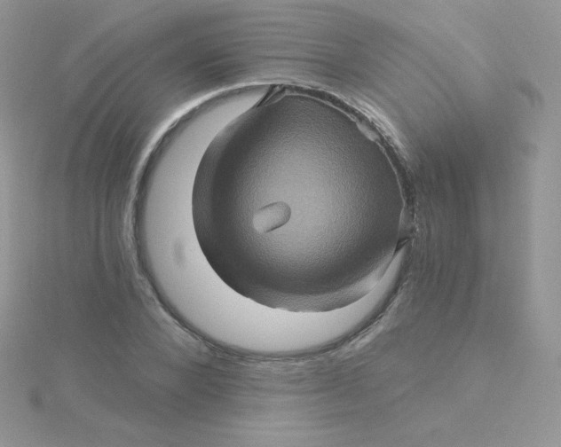 X0000115330880200911231409