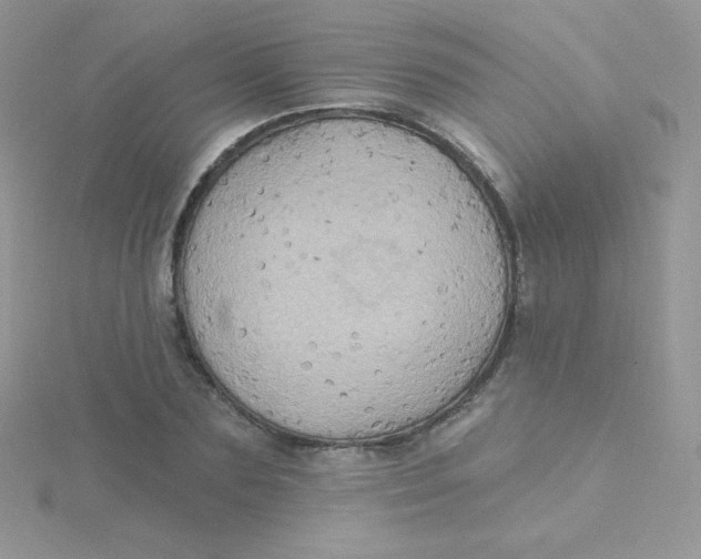 X0000115330883200911231409