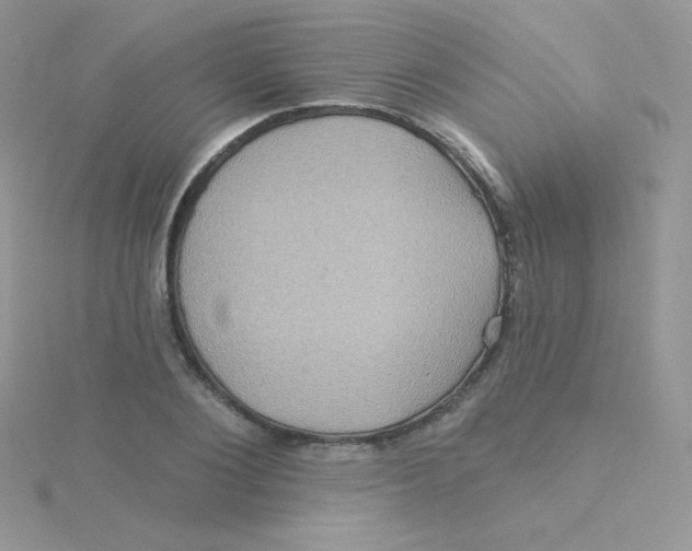 X0000115330884200911231409