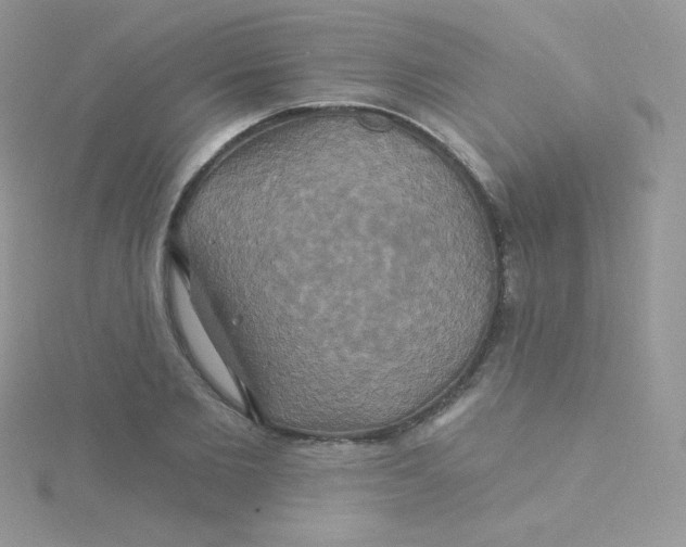 X0000115330885200911231409