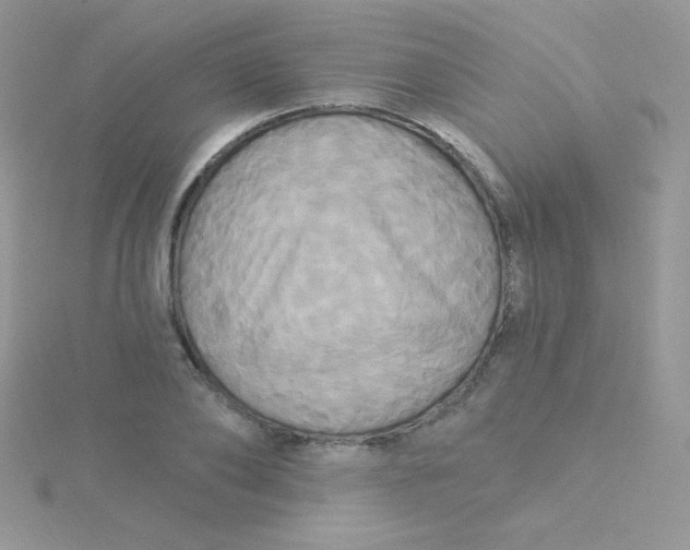 X0000115330886200911231409