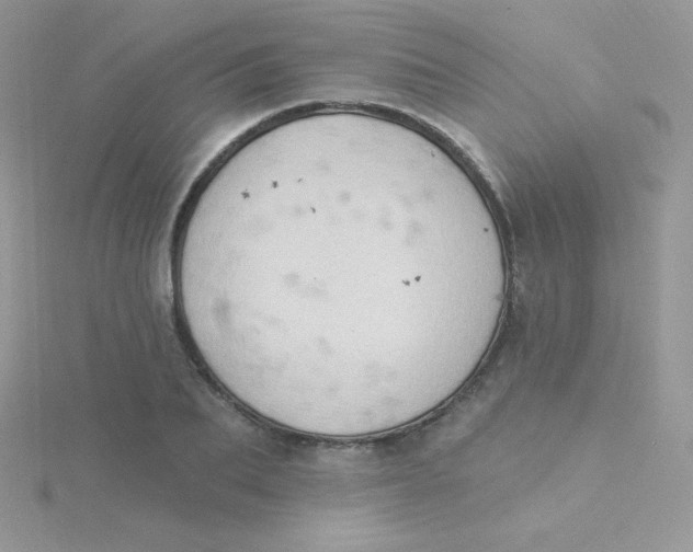 X0000115330887200911231409