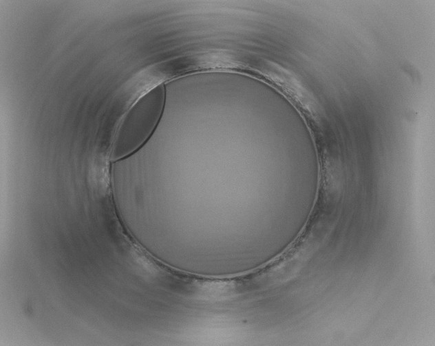 X0000115330889200911231409