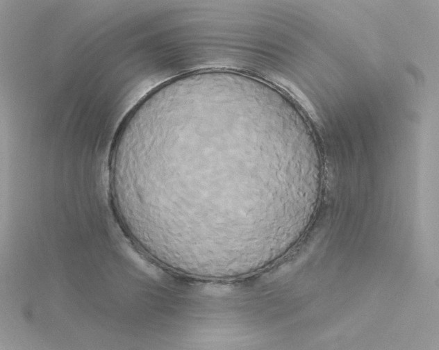 X0000115330890200911231409