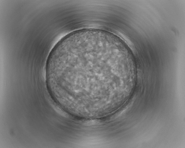 X0000115330891200911231409