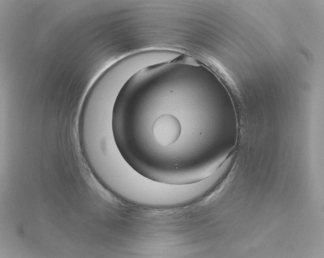 X0000115330892200911231409