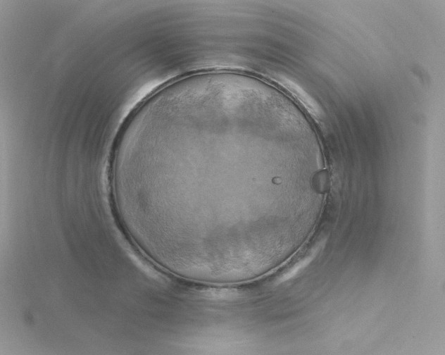 X0000115330893200911231409