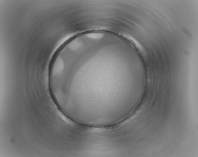 X0000115330894200911231409