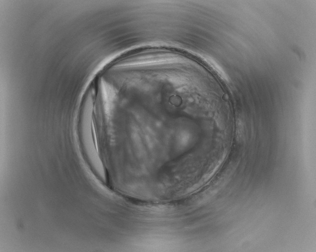 X0000115330895200911231409