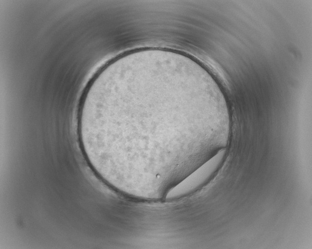 X0000115330896200911231409